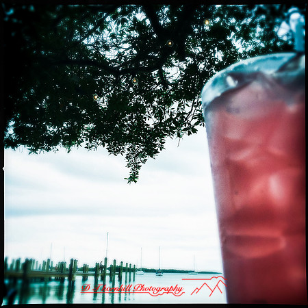 florida-march-2015-iphone-food-021