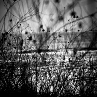 bay city state parks- 2021 - 004