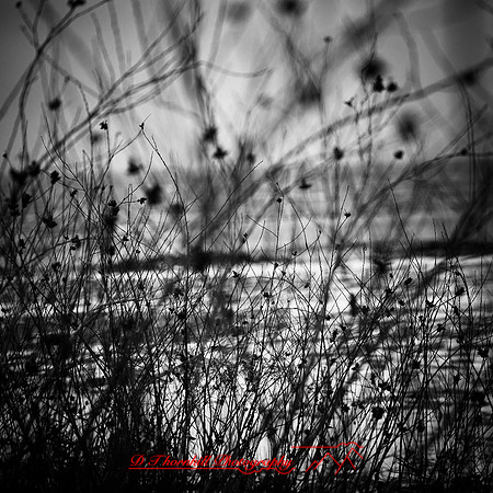 bay city state parks- 2021 - 004