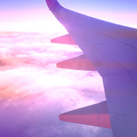 florida-march-2015-iphone-flying_down-012