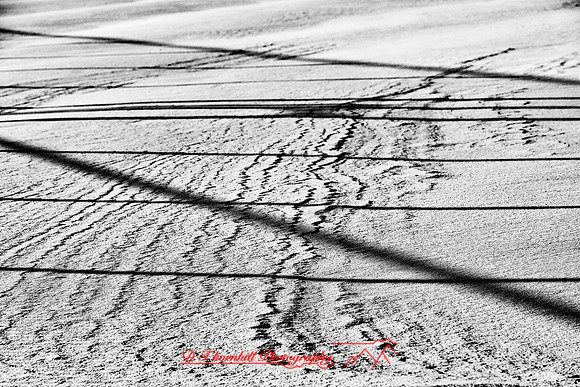 assorted_images-2012-050-nas