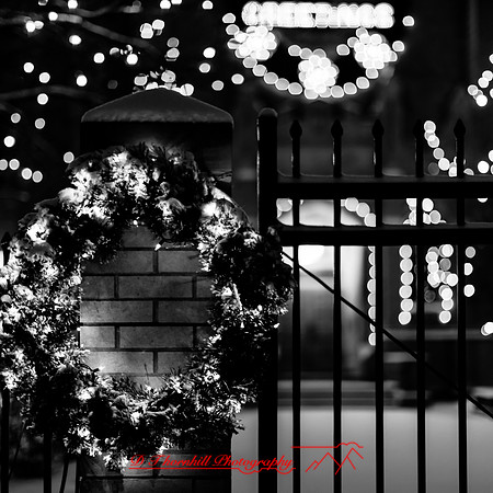 saginaw-christmas-2017-019