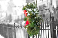 assorted_images-2009_008.jpg