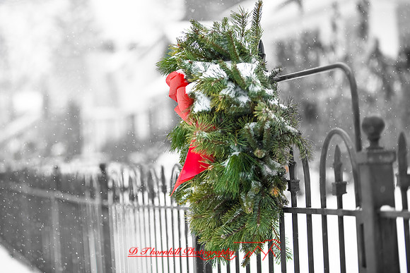 assorted_images-2009_008.jpg