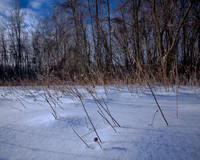 shiawassee_feb-2008_03