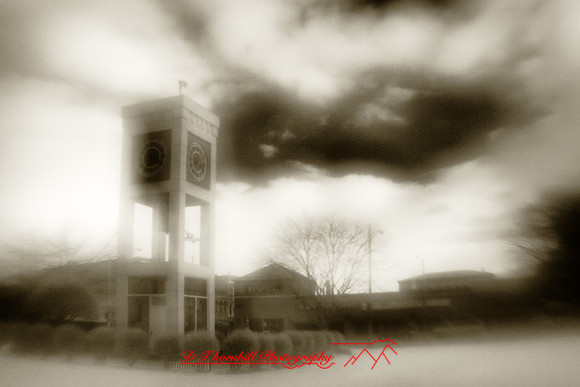 infrared_images-2011-009-nik