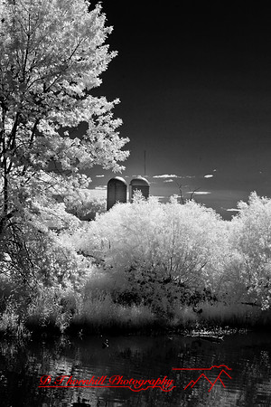 infrared-2008_090