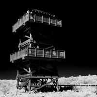 florida-2014-infrared-013