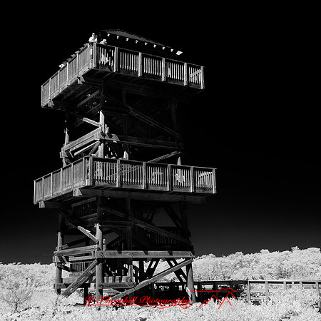 florida-2014-infrared-013