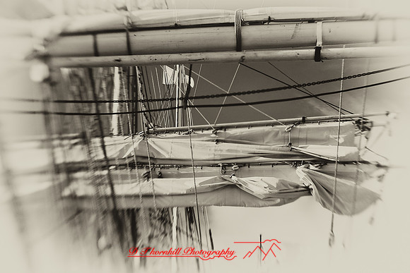 bay-city-tall-ships-2010-infared_12-nik
