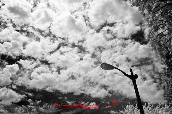 infrared-2008_079