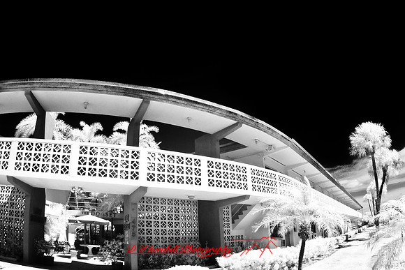 florida-2009-images-infrared_28.jpg