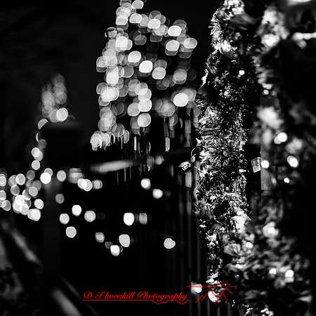 saginaw-christmas-2017-020