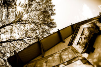 assorted-images-2010_080