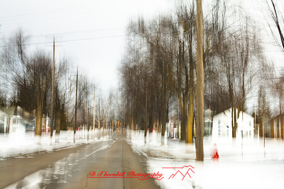 the_drive-2010_001.jpg