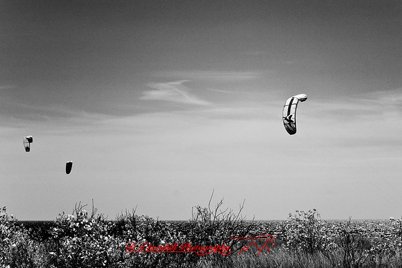 tawas-state-park-infrared-2008_025