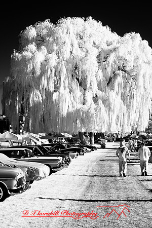 muth-car-show-infrared-2008_09