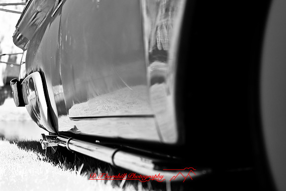 muth-car-show-infrared-2008_12
