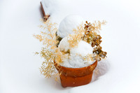 assorted_images-2009_001.jpg