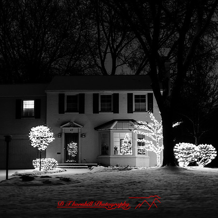 saginaw-christmas-2017-006