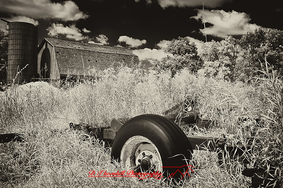 infrared-2009-the_farm_07-nik.jpg