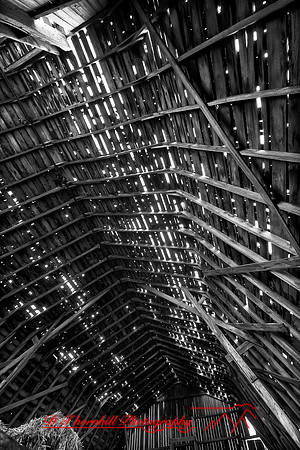 assorted_images-2011-51-nas