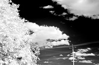 shiawasse_infrared_june-2008_01