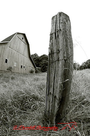 bird-farm_june-2006_60