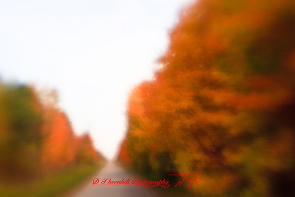 assorted-images-2010_99-nik