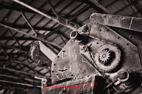 assorted_images-2011-43-nas