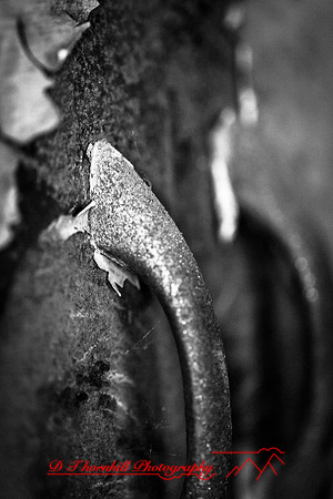 assorted_images-2011-203