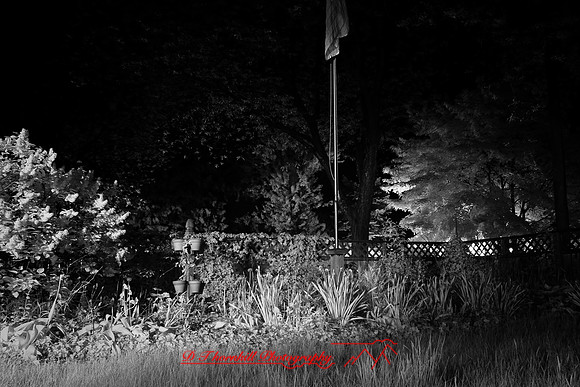 infrared-2009-random_18.jpg
