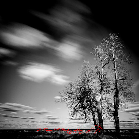 shadow-light-project-bay-city-state-park-2014-007-nas