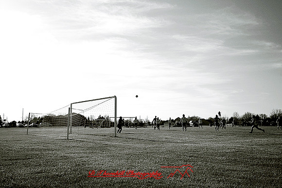 _MG_7991.jpg