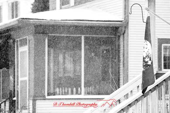 assorted_images-2009_006.jpg