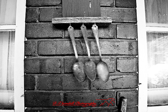 assorted_images-2007-32