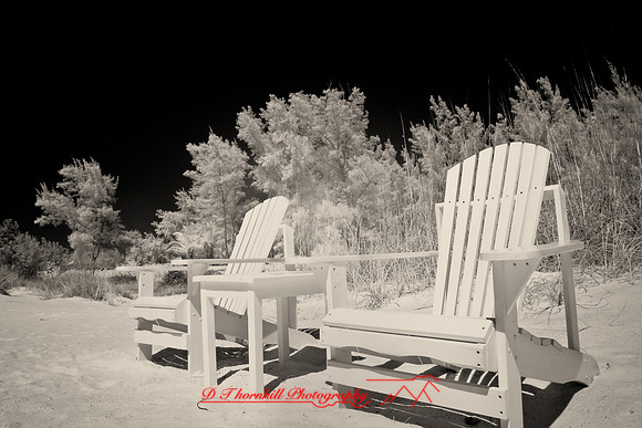 florida-2008-images-infrared_38-nik.jpg