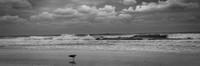 florida - 2022 - spring - 071