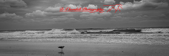 florida - 2022 - spring - 071