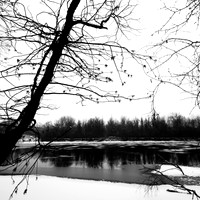 shadow-light-project-river-ice-2014-001