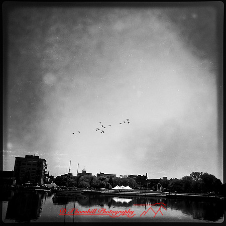 iPhones-2014-091