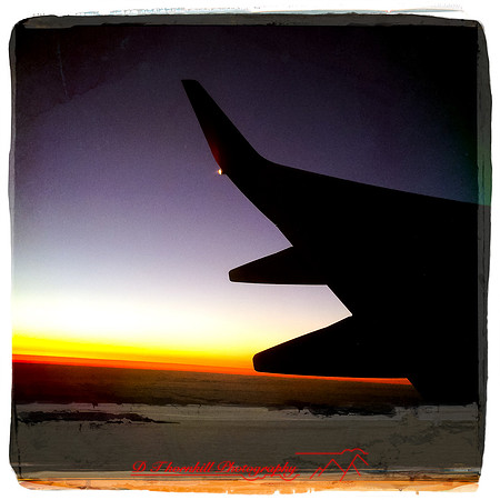florida-march-2015-iphone-flying_down-008