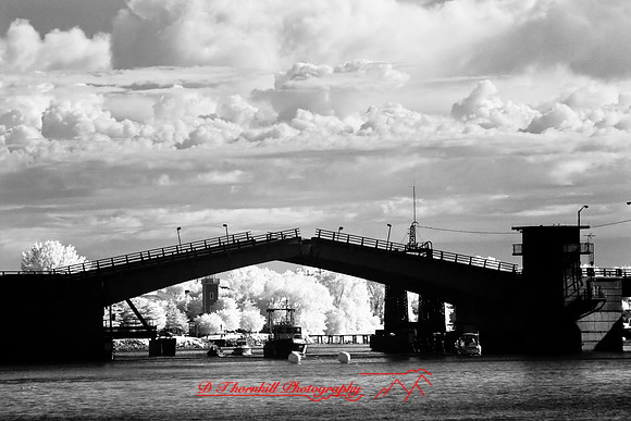 river_roar-inrared-2008_19.jpg
