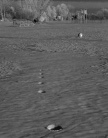 jghs-gs-dreams-2008_06.jpg