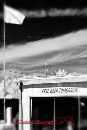 florida-2010-infrared-images_03