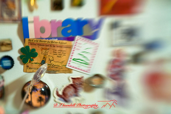 assorted_images-2008_34.jpg