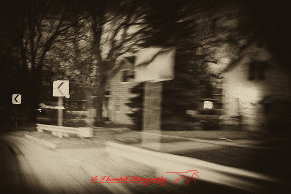 the-drive-2009_24-nik.jpg