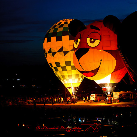midland-balloon-2013-37
