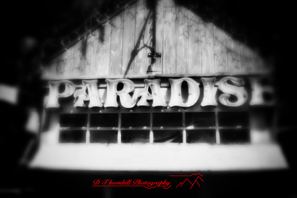 florida - pinhole - 2022 - 017-nik-ps-ai