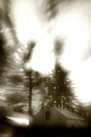 infrared-2010-random_003-nik.jpg